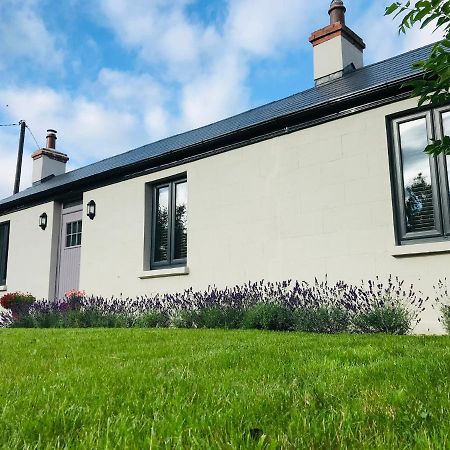 Lavender Cottage - 2 Bedroom Home Newbridge  Exteriör bild