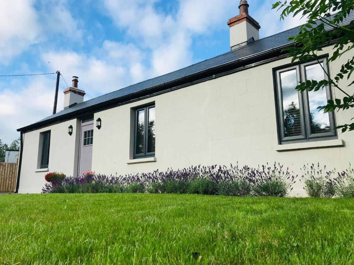 Lavender Cottage - 2 Bedroom Home Newbridge  Exteriör bild