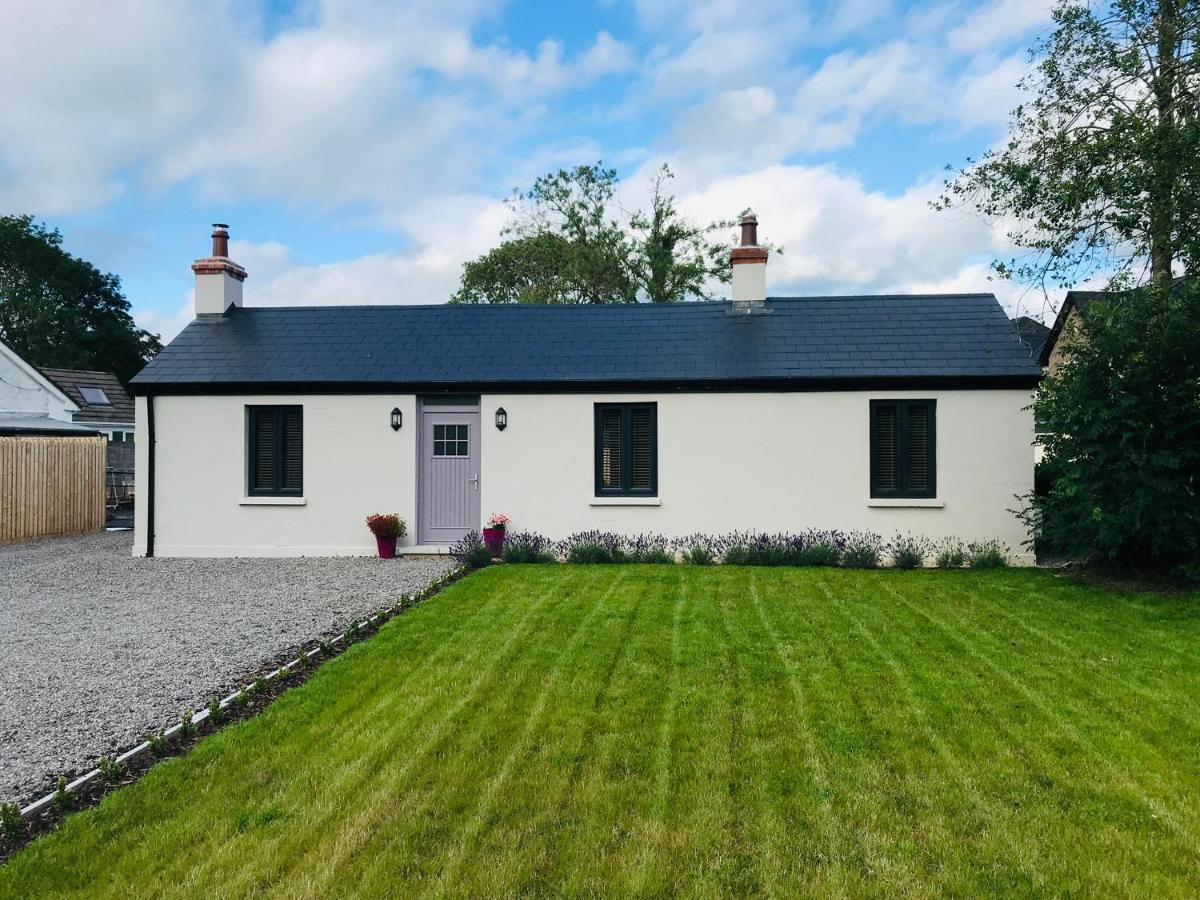 Lavender Cottage - 2 Bedroom Home Newbridge  Exteriör bild