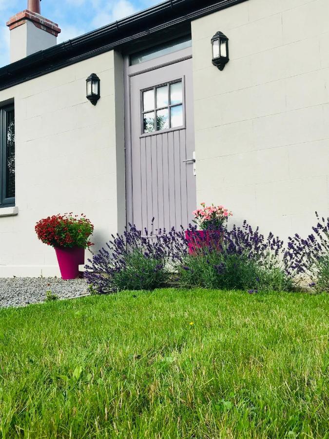 Lavender Cottage - 2 Bedroom Home Newbridge  Exteriör bild
